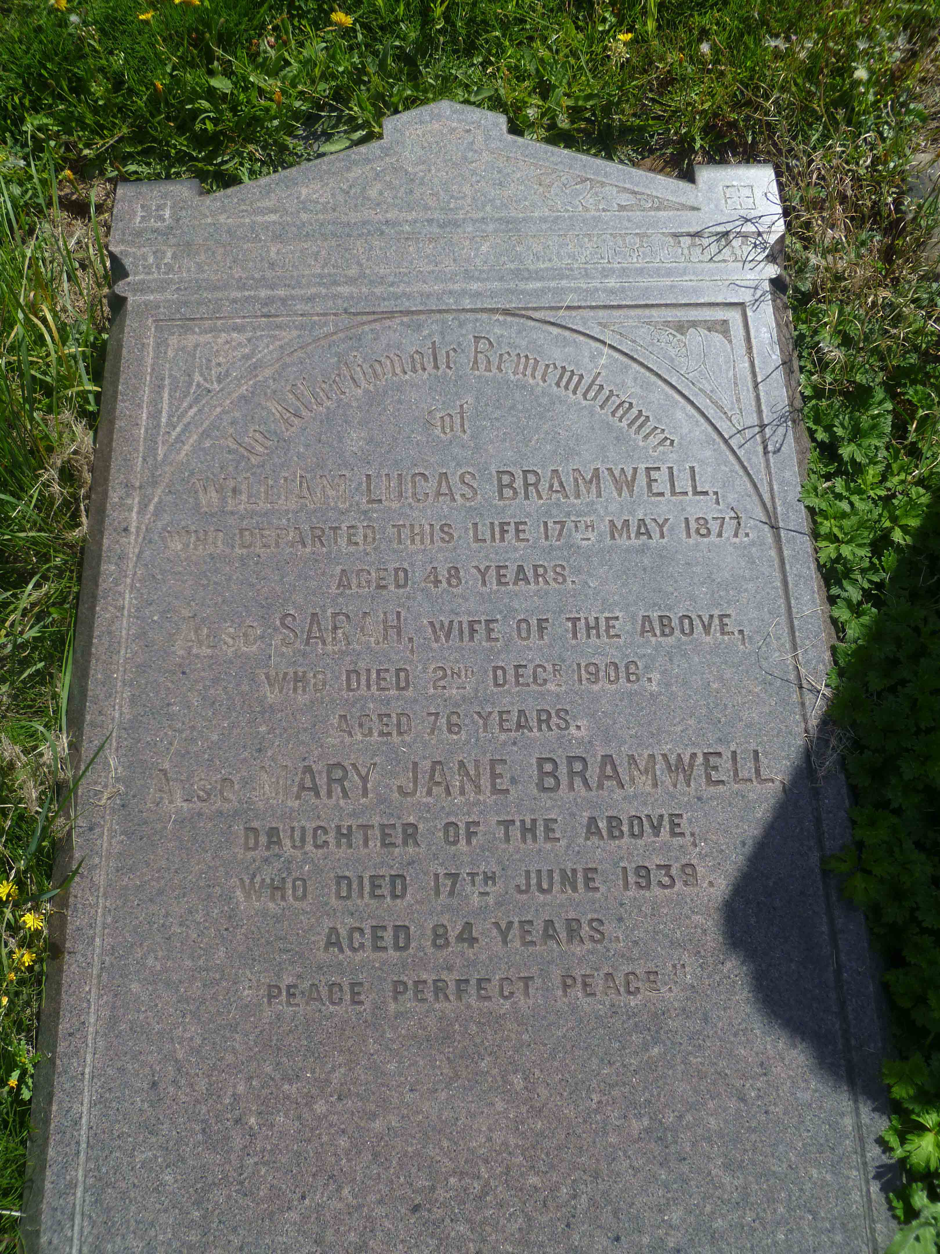 Bramwell (C Left 366) (2)